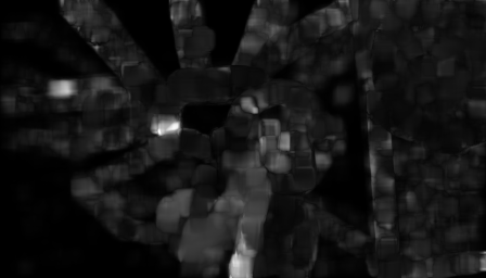 Flow Animate Anything