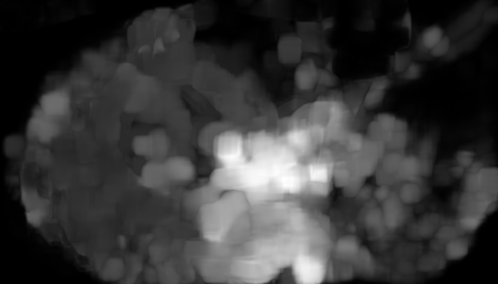 Flow CogVideoX
